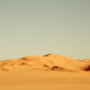 Serenidad del Paisaje Desértico