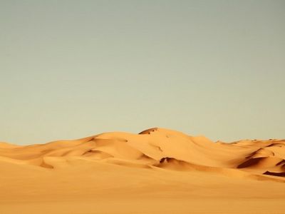 Serenidad del Paisaje Desértico