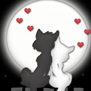 Gatos Lindos Bajo la Luna
