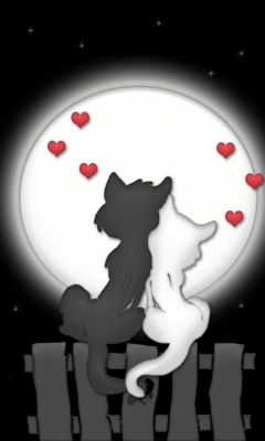 Gatos Lindos Bajo la Luna
