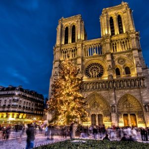 Navidad en la Catedral de Notre Dame