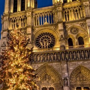 Navidad en la Catedral de Notre Dame
