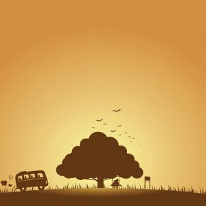 Silhouette de un Árbol y un Autobús