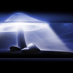Luz Misteriosa y Rocas