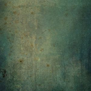 Textura de Bosque Misterioso