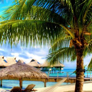 Paraíso Tropical