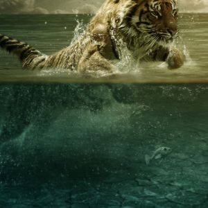 Tigre nadando en el agua