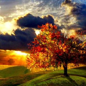 Paisaje Otoñal al Atardecer