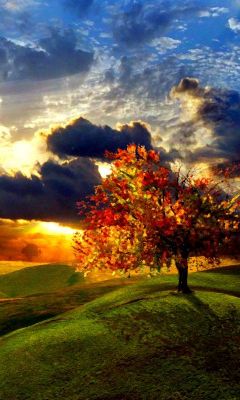 Paisaje Otoñal al Atardecer