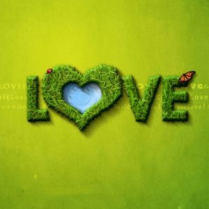 Corazón Verde Amor