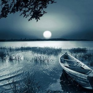 Lago Sereno Iluminado por la Luna