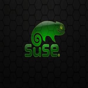 Fondo de Pantalla Logo SUSE