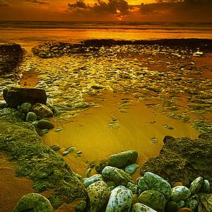 Impresionante Atardecer Sobre Playa Rocosa