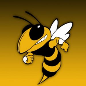 Personaje de Abeja de Dibujos Animados