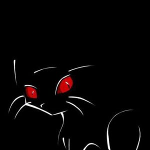 Gato Negro Misterioso