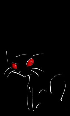 Gato Negro Misterioso