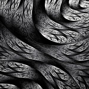 Patrones Abstractos en Blanco y Negro