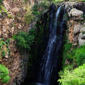 Impresionante Cascada en la Naturaleza