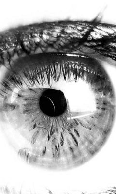 Fotografía de Ojo en Primer Plano