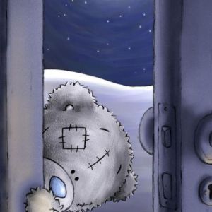 Osito Lindos de Noche
