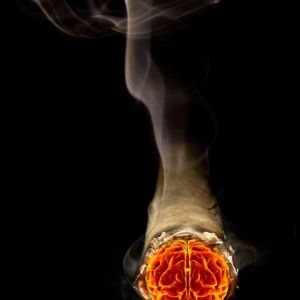 Arte de humo de cerebro en llamas