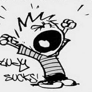 Calvin odia estudiar