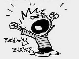 Calvin odia estudiar