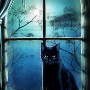 Gato Negro Místico en la Ventana