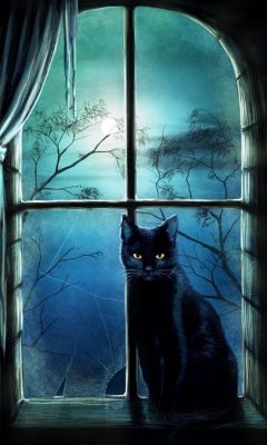 Gato Negro Místico en la Ventana