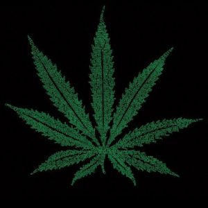 Hoja de Cannabis Verde