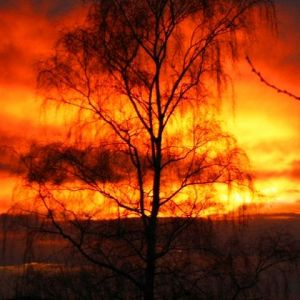 Impresionante Silueta del Atardecer