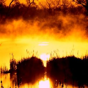 Atardecer Dorado sobre el Agua