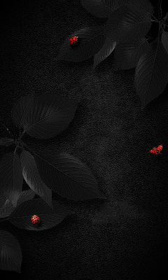Hojas negras con mariquitas rojas