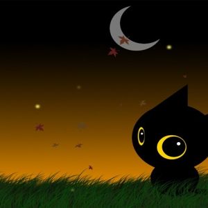 Gato Negro Bonito de Noche