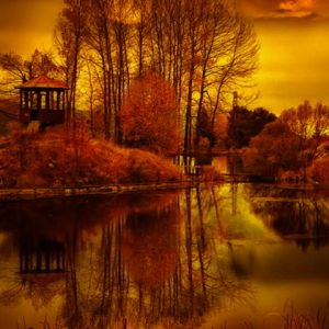 Reflejos de Otoño en la Naturaleza