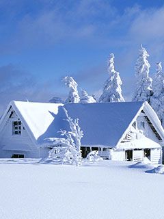 Cabaña de Invierno
