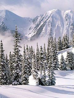 Paisaje Montañoso Nevado