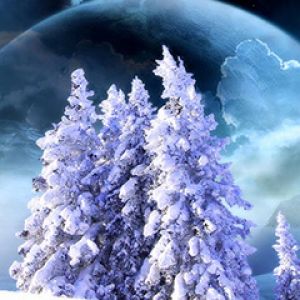 Árboles Nevados Bajo un Cielo Cósmico