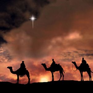 Tres Camellos Bajo el Cielo Estrellado