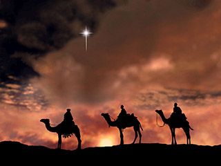 Tres Camellos Bajo el Cielo Estrellado
