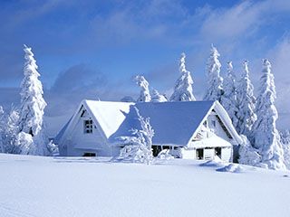 Paisaje Invernal Nevado