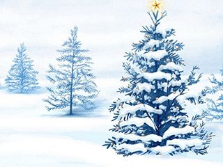 Árboles de Navidad Nevados