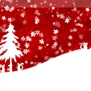 Gatos y Árbol de Navidad