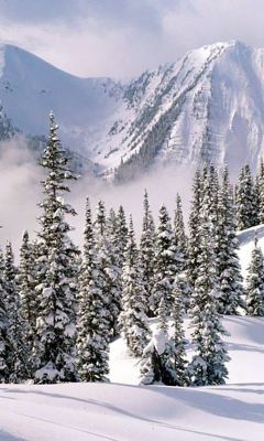 Paisaje Montañoso Nevado