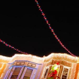Luces de Navidad y Grinch