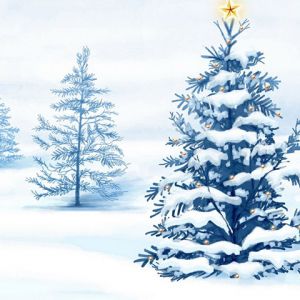 Árbol de Navidad en Invierno