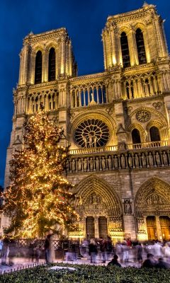 Navidad en la Catedral de Notre Dame