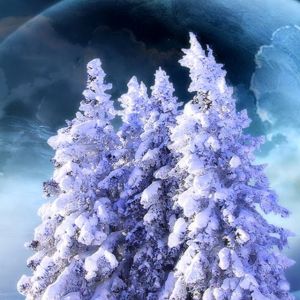 Árboles Nevados en el Espacio