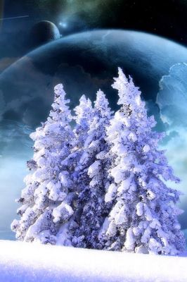 Árboles Nevados en el Espacio