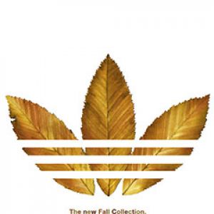Adidas Colección Otoño Hojas